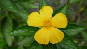 Image epoliticsdesigns.co.uk 1684 1746914296993